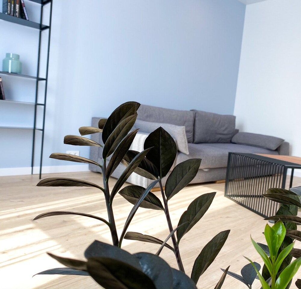 дизайн вітальні жк cardinal